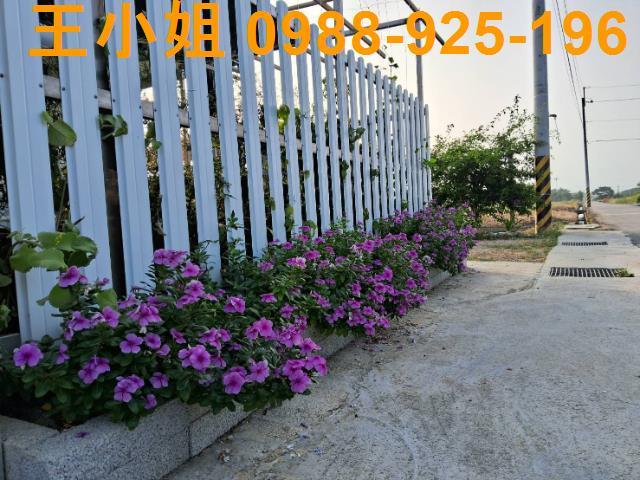 桃園農地-1