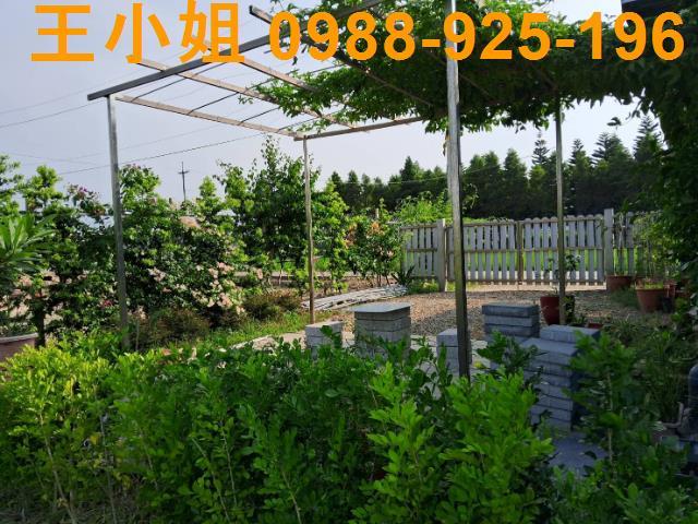 桃園農地-2