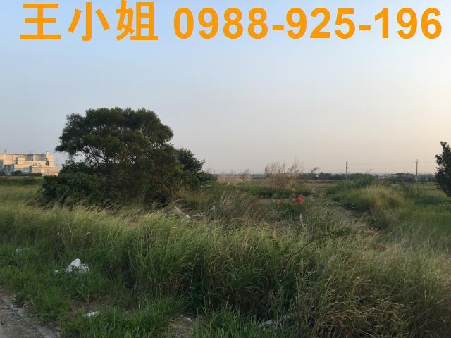 桃園農地-4