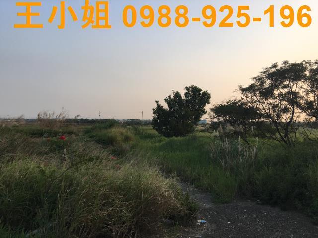 桃園農地-5