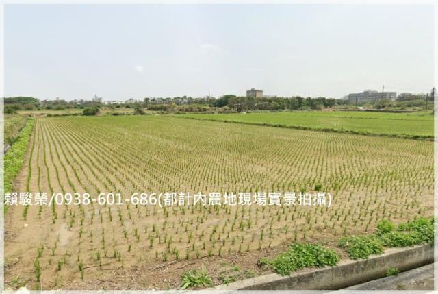 觀音市區都計內農地