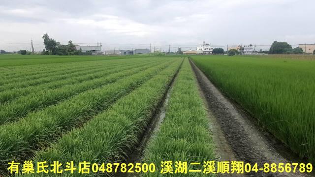 彰化埤頭農地-2