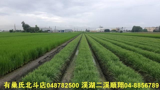 彰化埤頭農地-5
