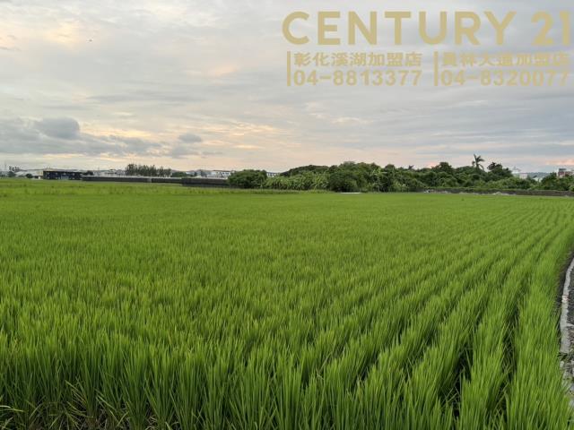彰化大村農地-1