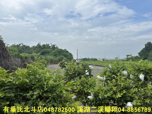 彰化溪湖農地-1