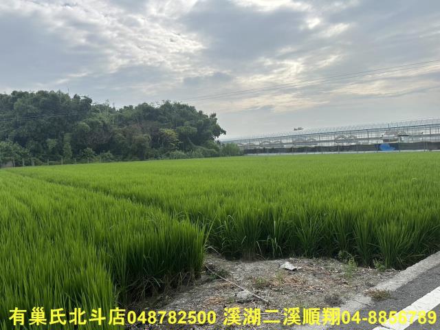 彰化溪湖農地-7
