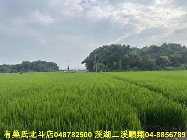 彰化溪湖農地-8