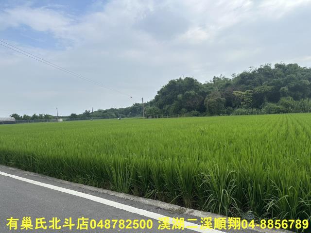 彰化溪湖農地-9