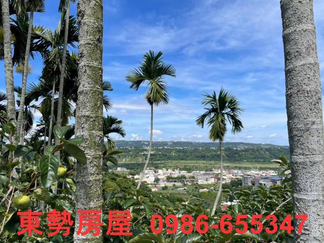 東勢農地-1