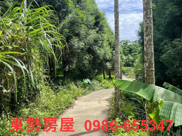 東勢農地-2