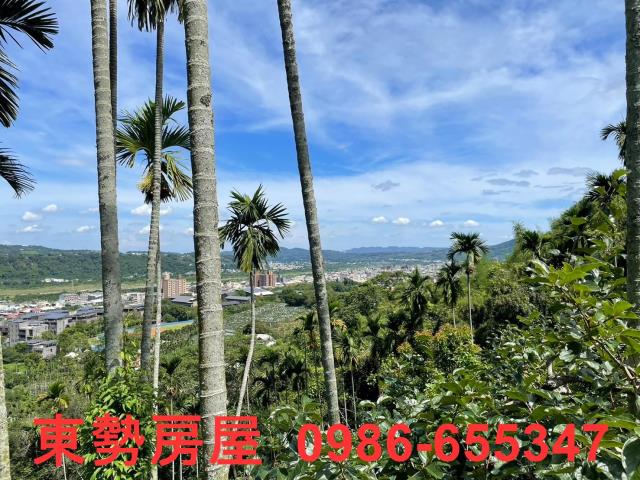 東勢農地-3