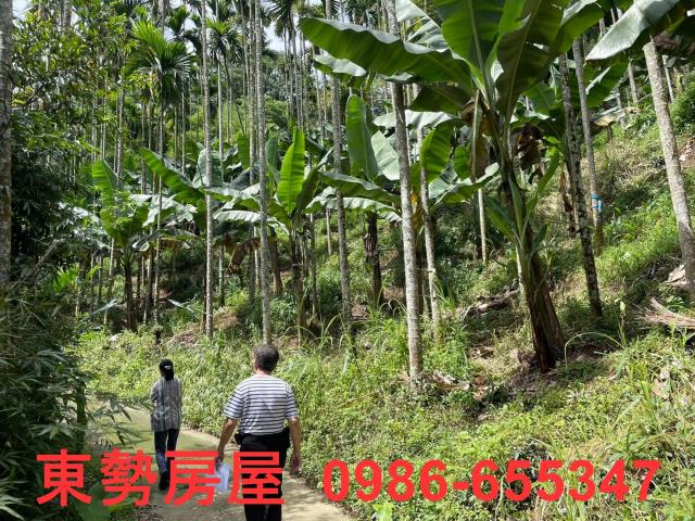 東勢農地-6