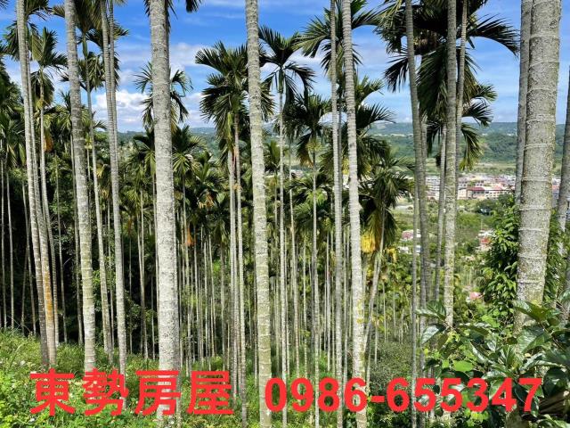 東勢農地-7