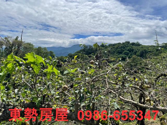 東勢農地-8