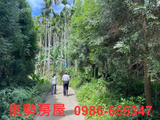 東勢農地-9