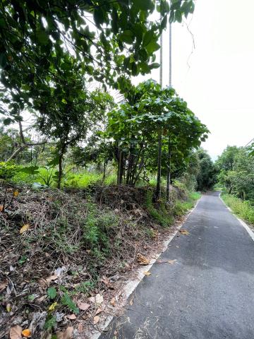 中埔農地-1