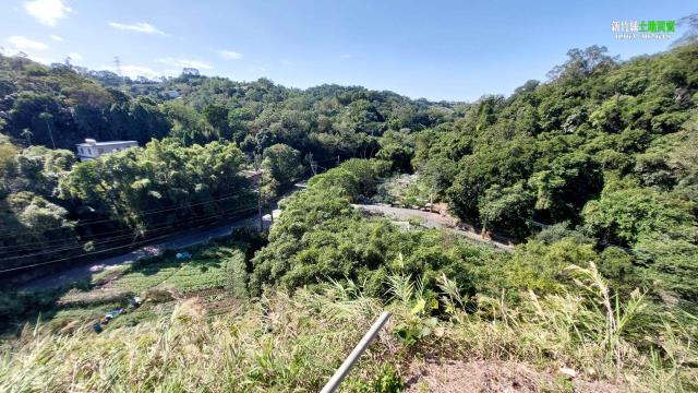 新竹北埔農地-13