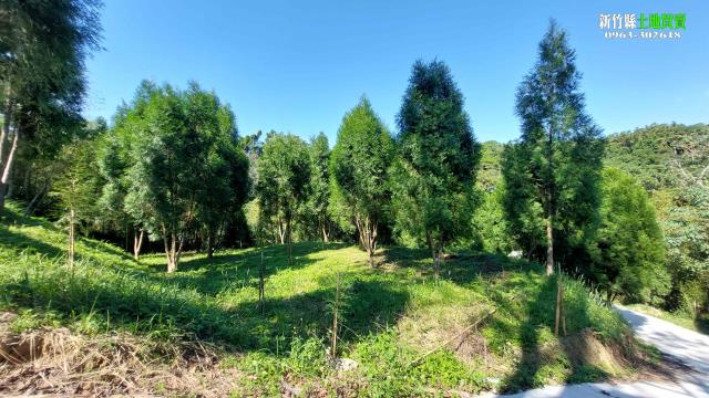 新竹北埔農地-2