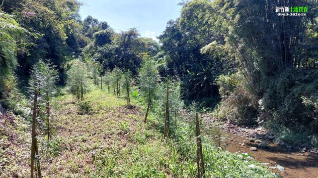 新竹北埔農地-5