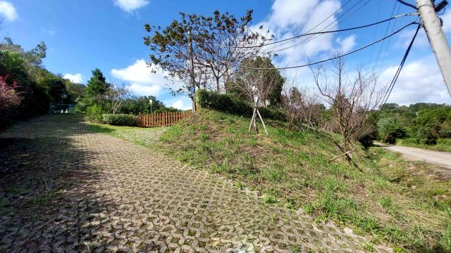 苗栗頭份農地-2
