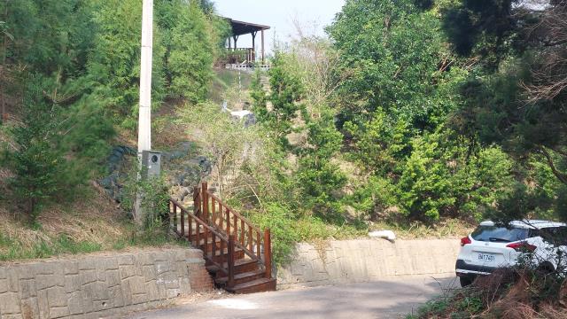 新竹關西山坡地-2