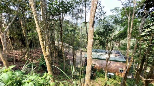 新竹北埔林地-12