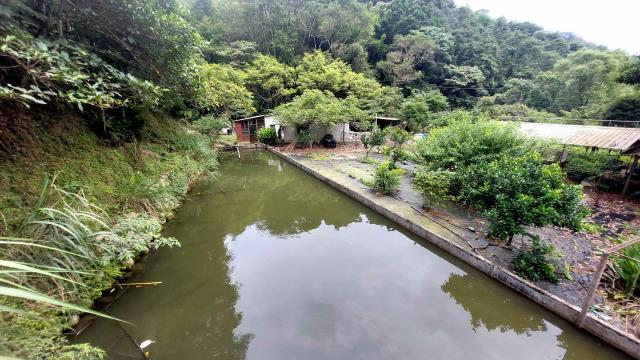 新竹橫山農地-1