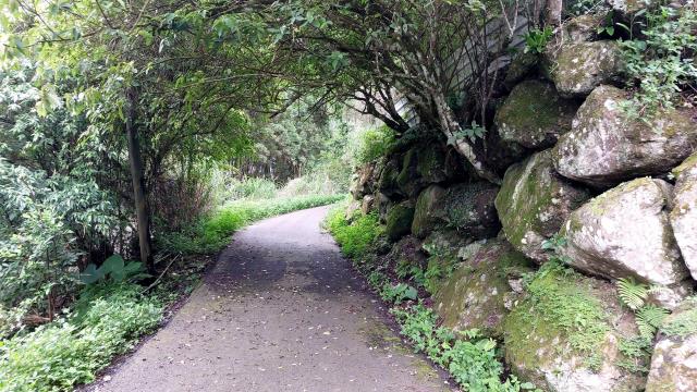 新竹橫山農地-14