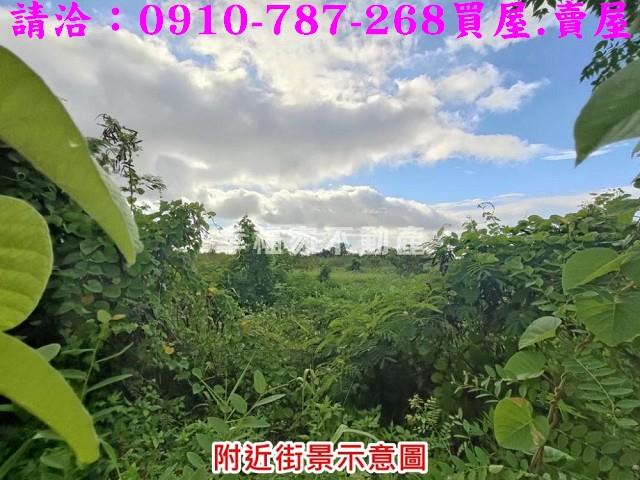 台南麻豆工業地-5