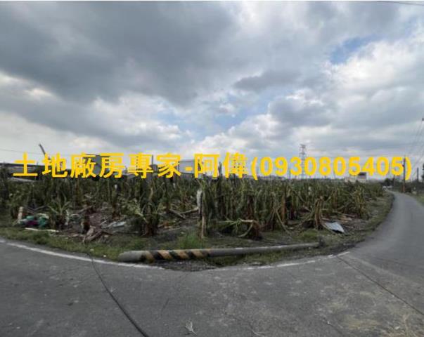 高雄大寮農地-1
