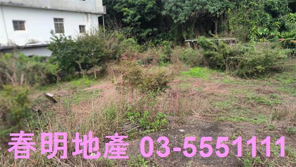 新竹關西建地-6