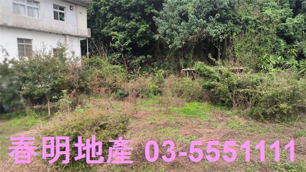 新竹關西建地-7
