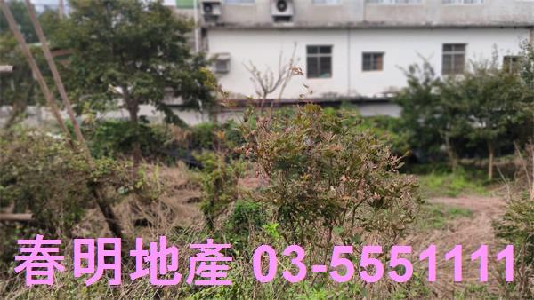 新竹關西建地-8