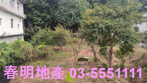 新竹關西建地-9
