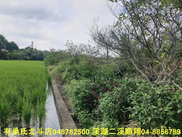 彰化北斗農地-5