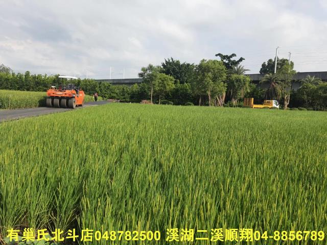 彰化溪州農地-1
