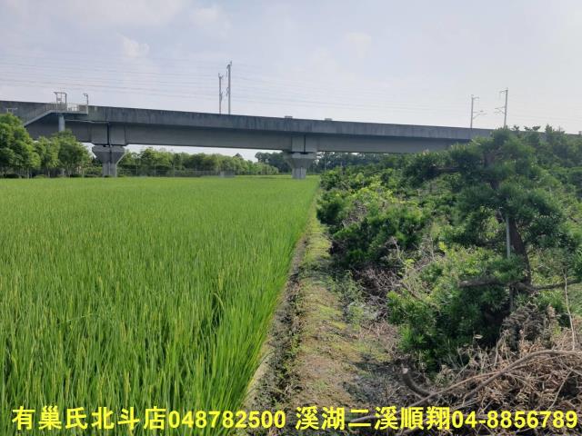 彰化溪州農地-2