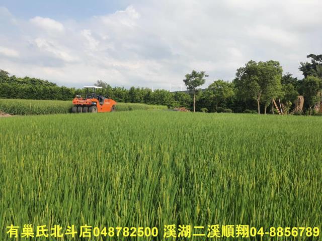 彰化溪州農地-3