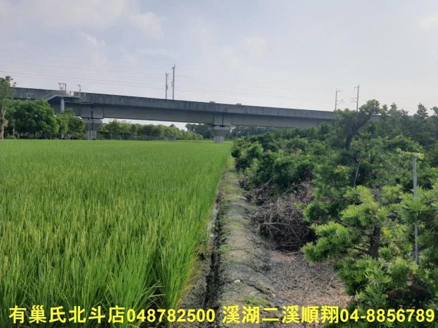彰化溪州農地-5