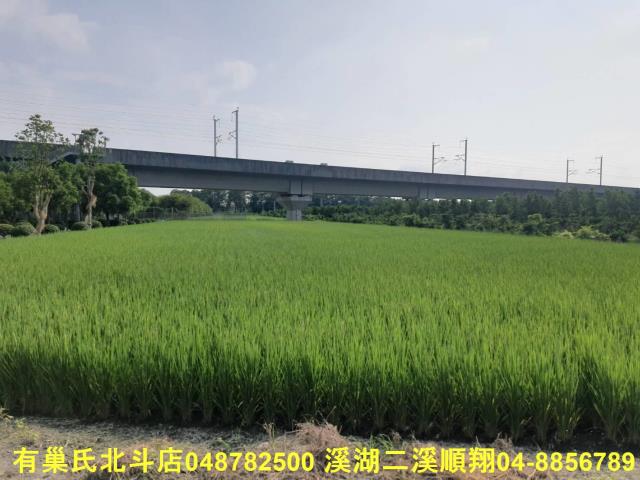 彰化溪州農地-7