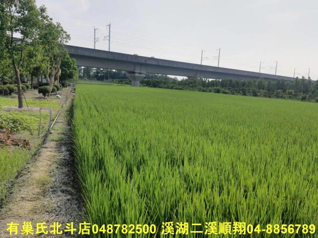 彰化溪州農地-8