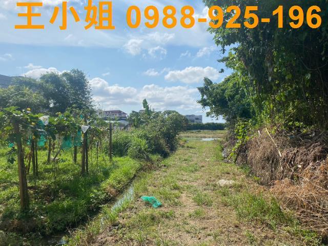 桃園桃園區農地-1