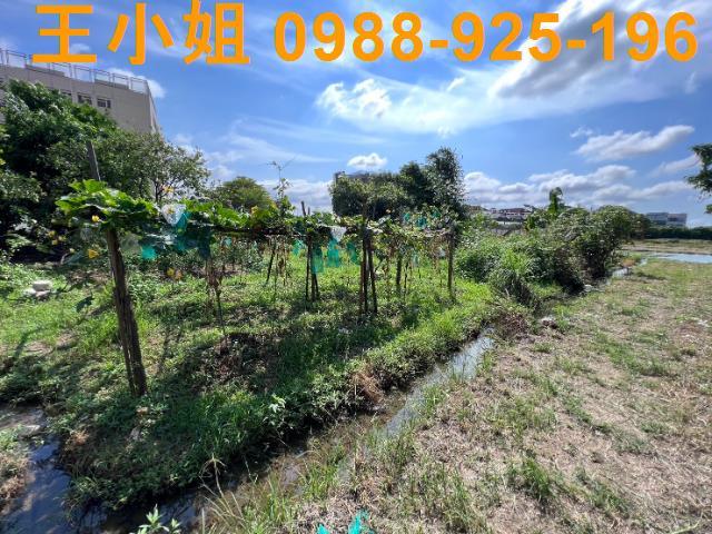 桃園桃園區農地-2