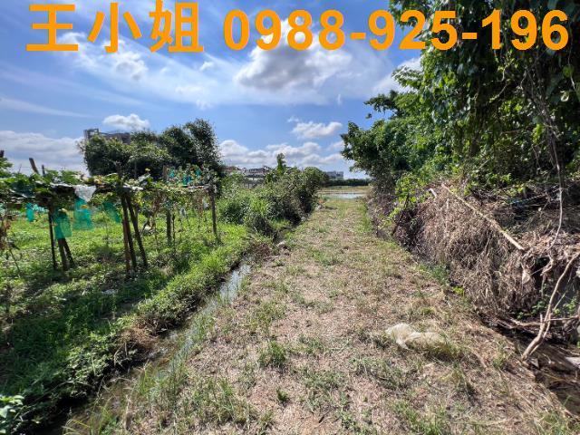 桃園桃園區農地-3