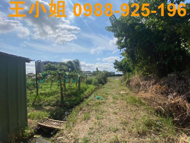桃園桃園區農地-4