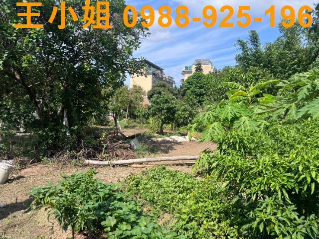 桃園桃園區農地-6