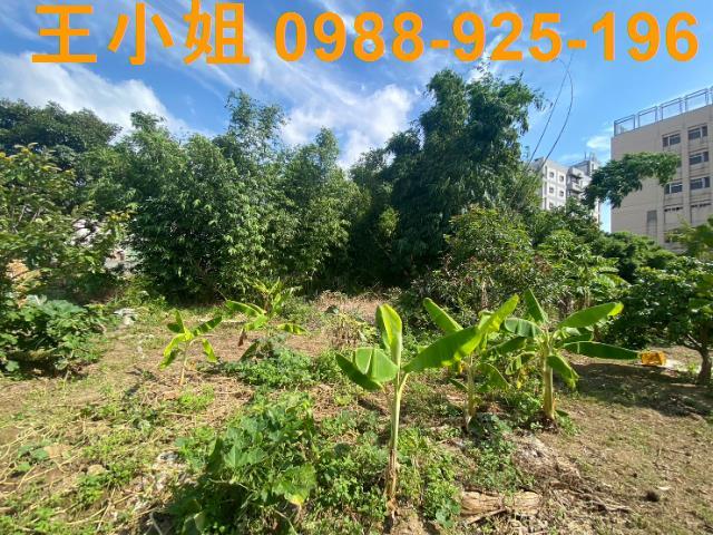 桃園桃園區農地-8