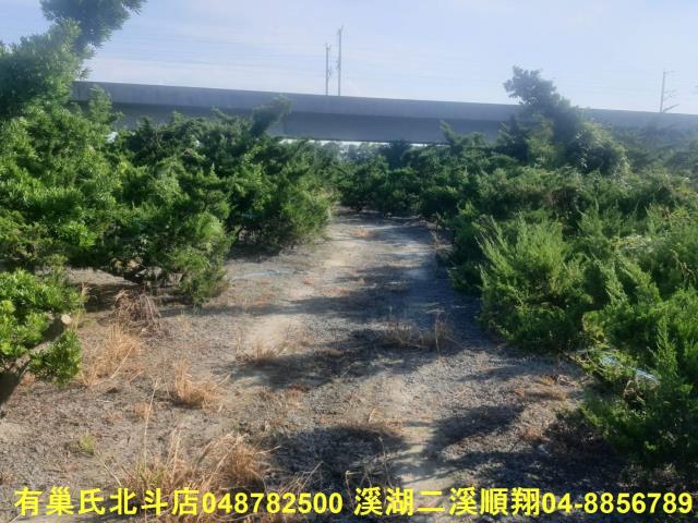 彰化溪州農地-2