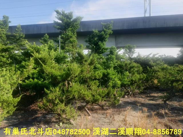 彰化溪州農地-3
