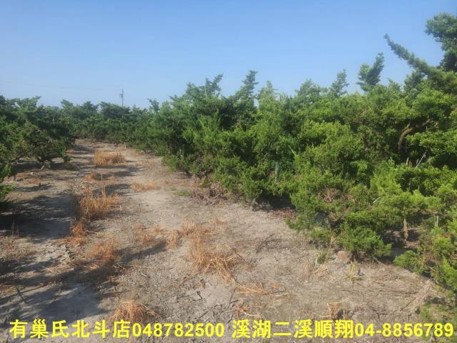 彰化溪州農地-4